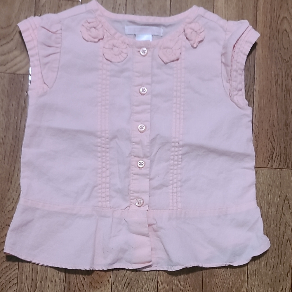 Janie and Jack Pink Button Down Shirt with Floral Embroidery (AB1)